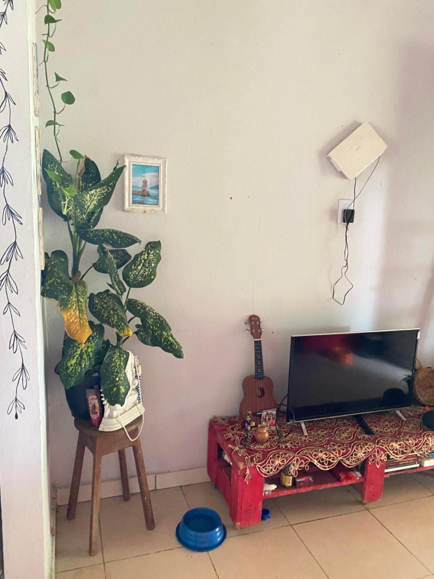 Casa Na Floresta Cosmica Ananindeua Esterno foto
