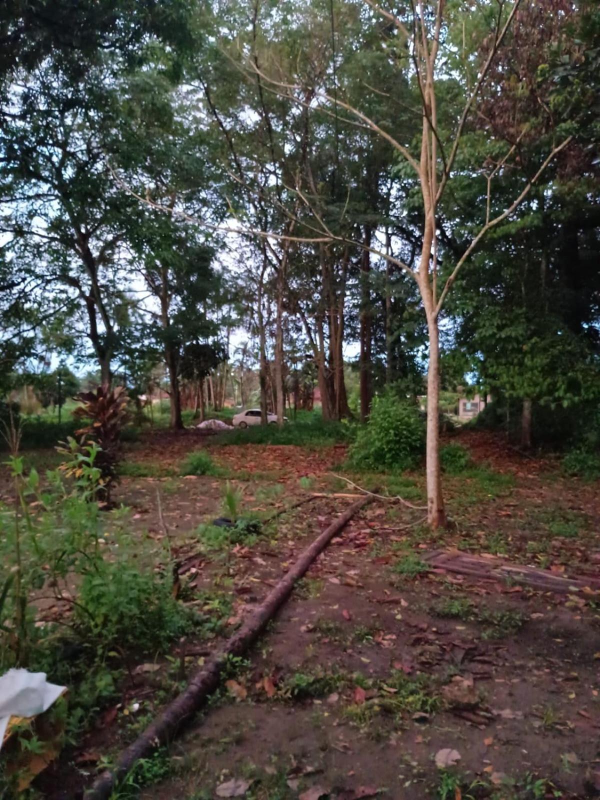 Casa Na Floresta Cosmica Ananindeua Esterno foto