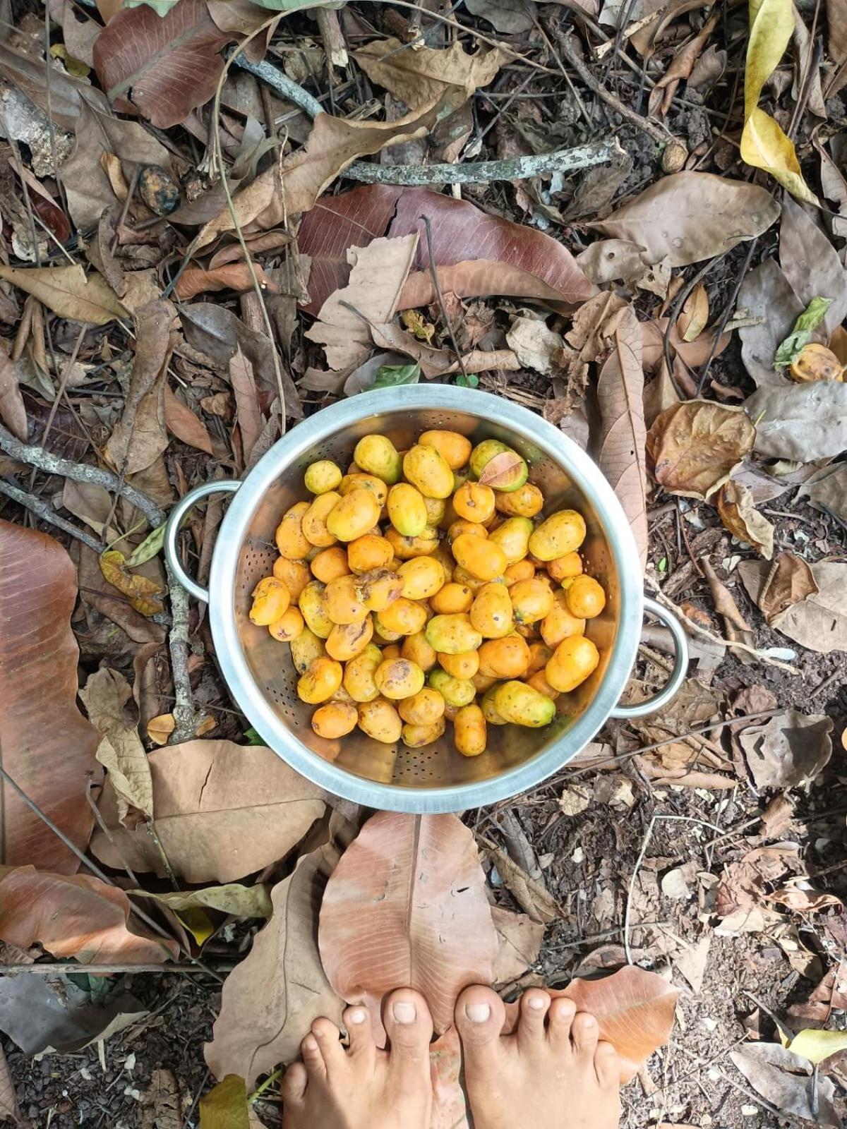 Casa Na Floresta Cosmica Ananindeua Esterno foto